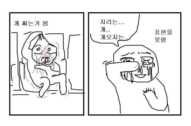 MdlrZw