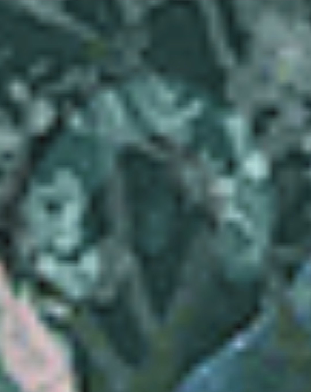 MeTtvh