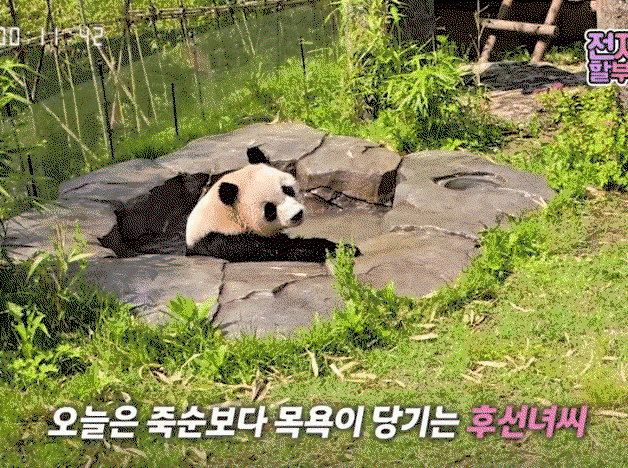 Mepqbz.gif