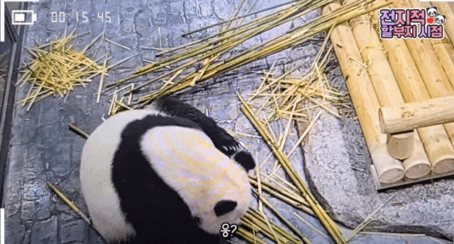 MgjDuK.gif