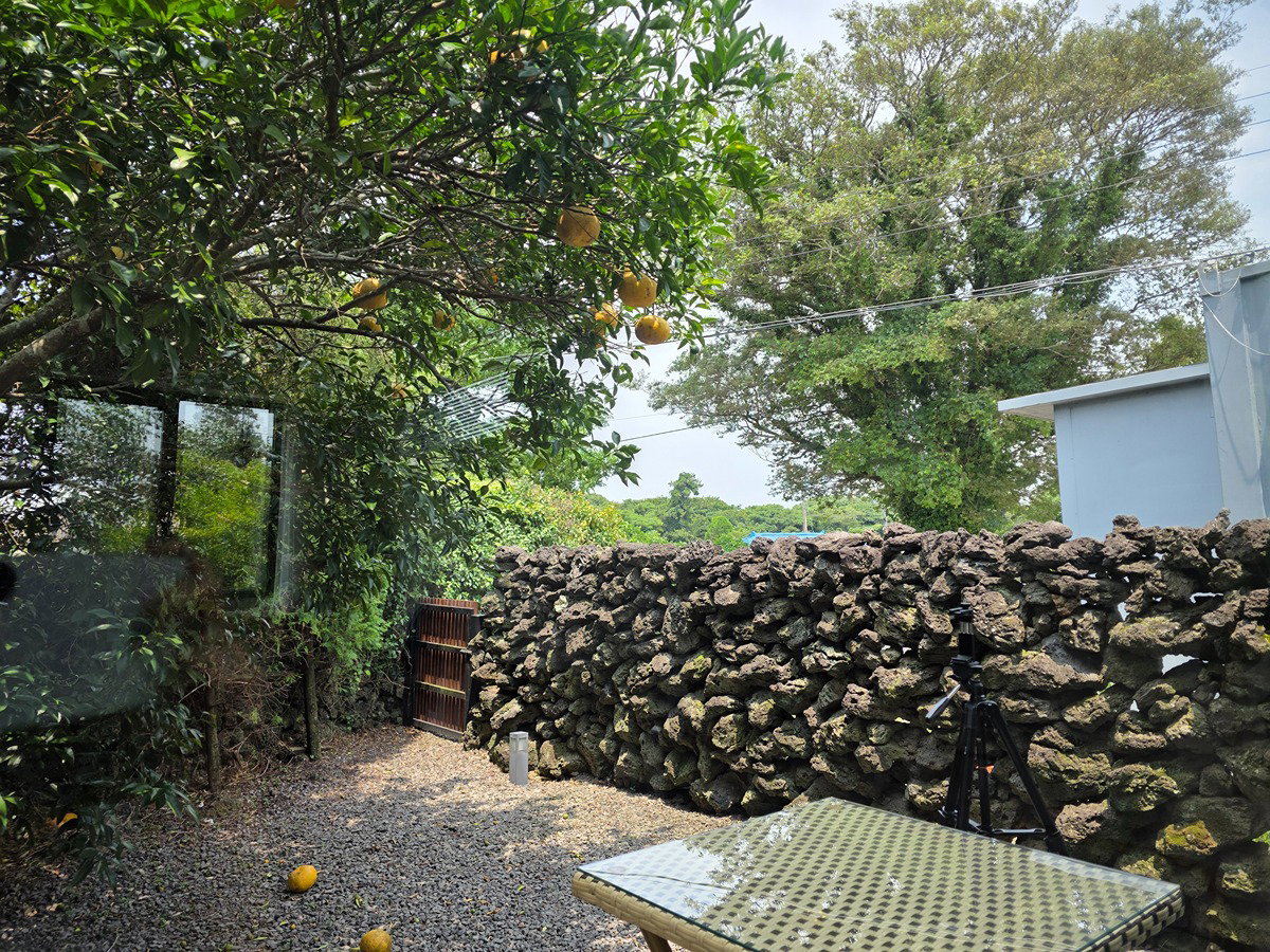 Mgnzth