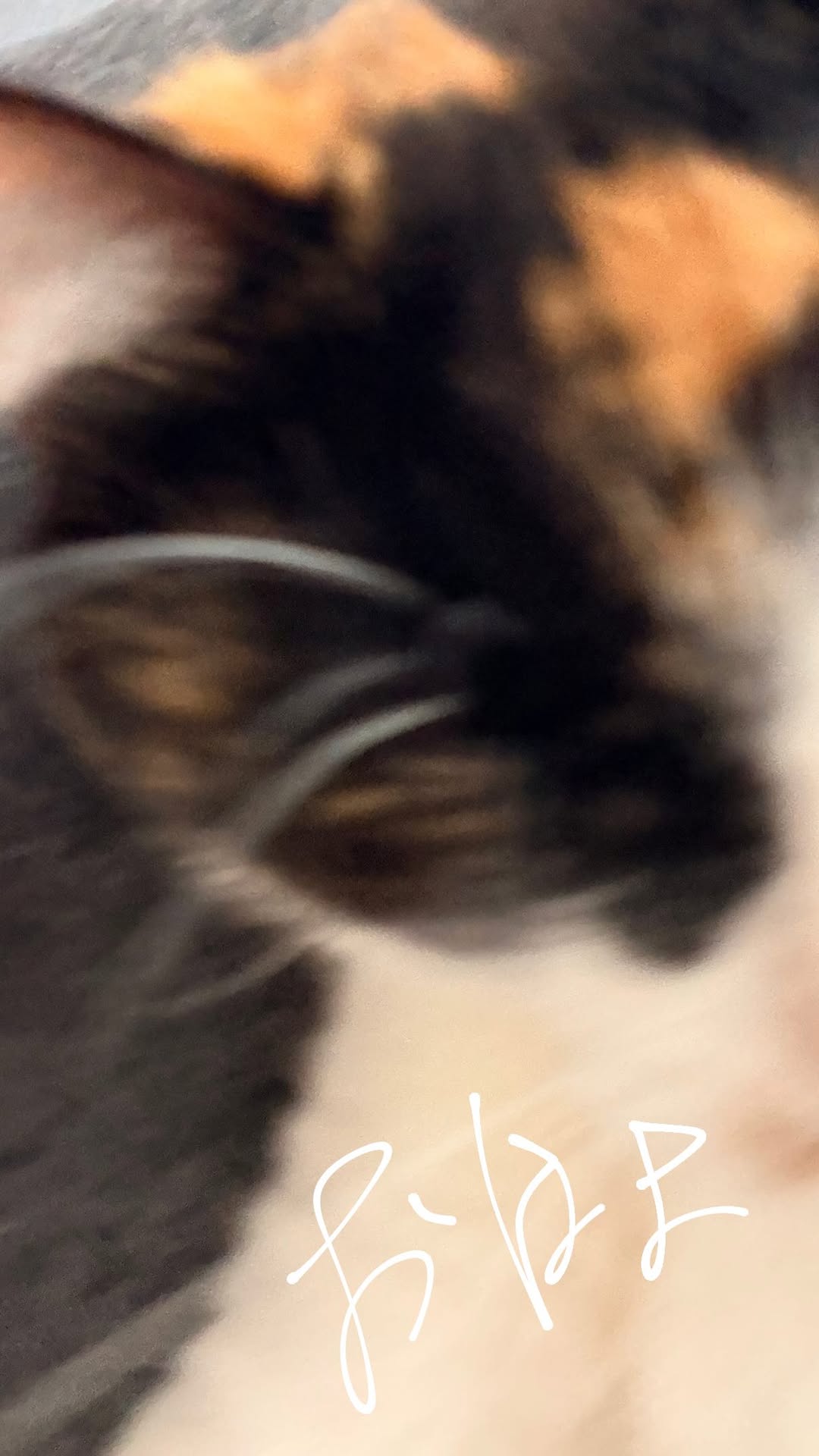 MiWUDC