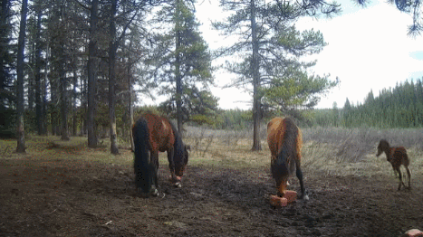 MjAUmZ.gif