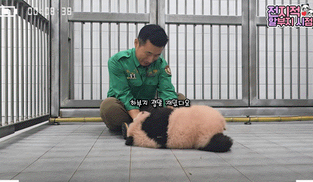 MliRnw.gif