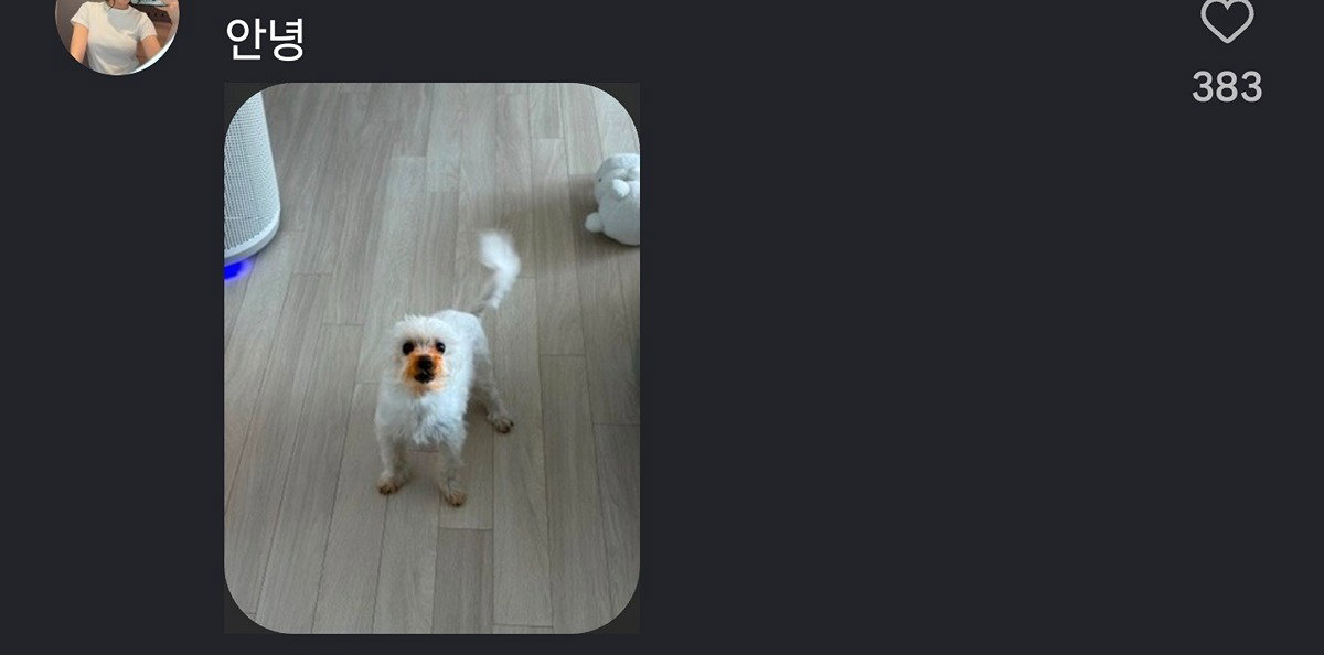 MmvQYv