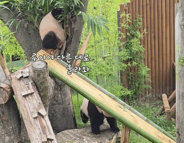 MneeKU.gif