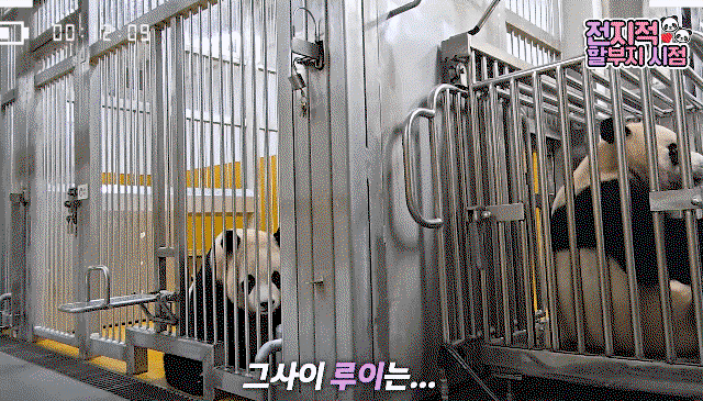 MnkhzU.gif