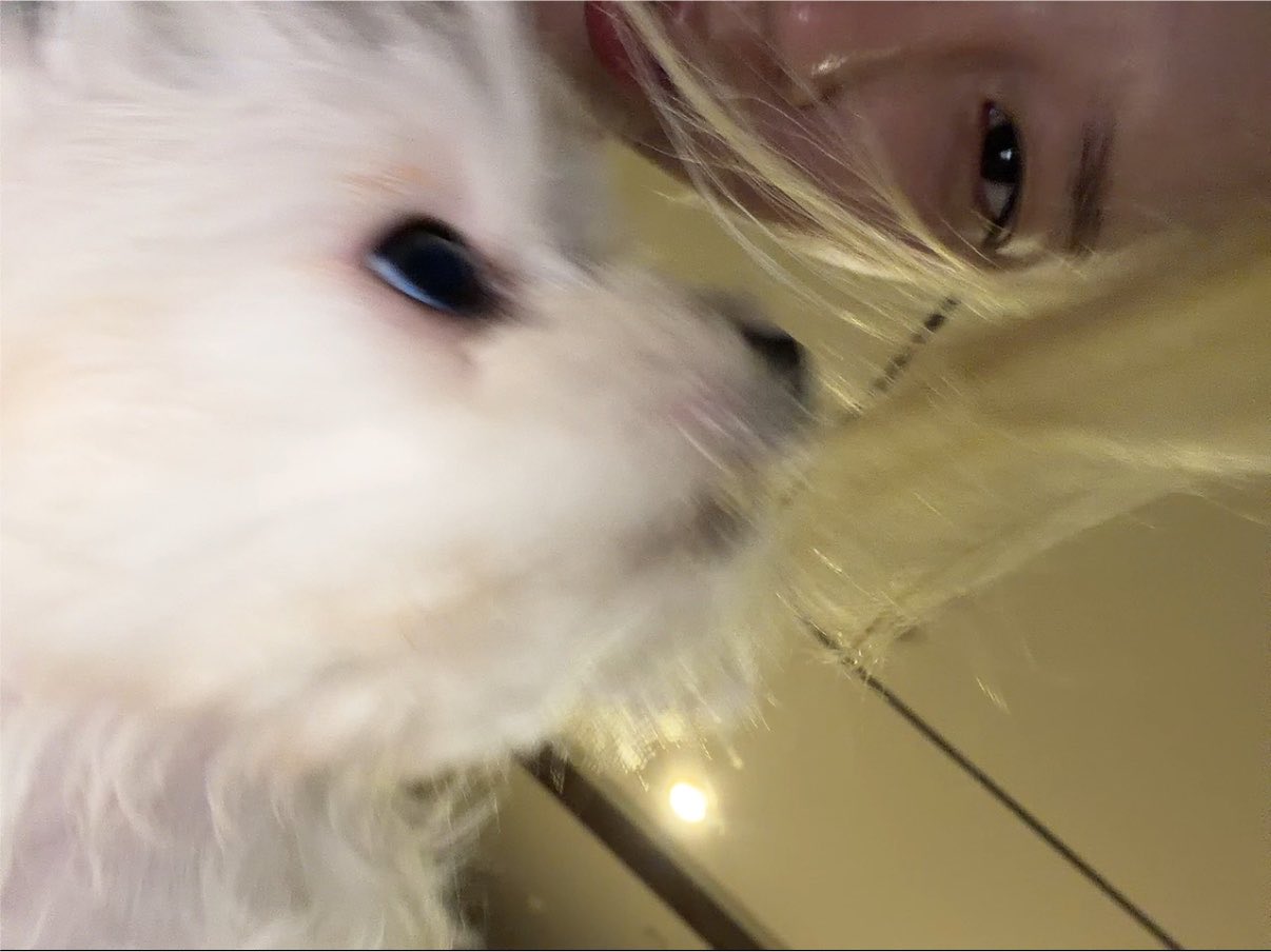 MoAXOj