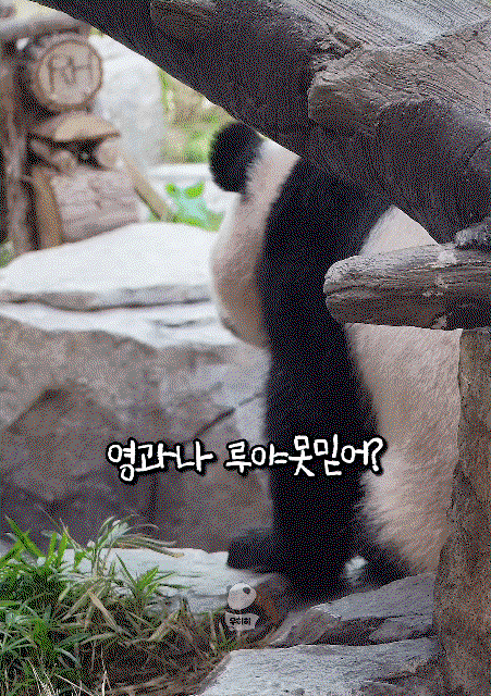 MqYlRx.gif