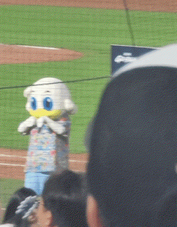 MrDVpo.gif