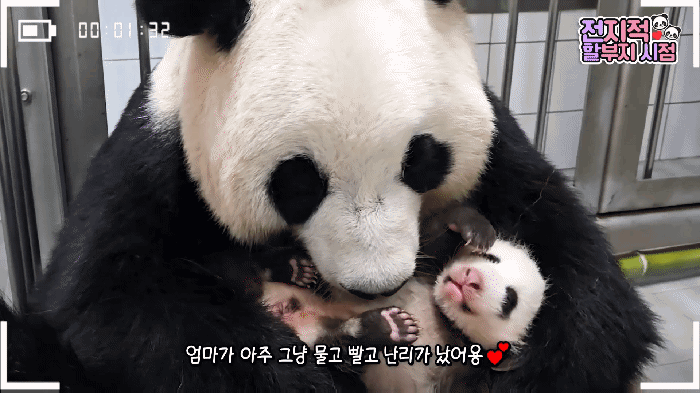 MsIkMk.gif