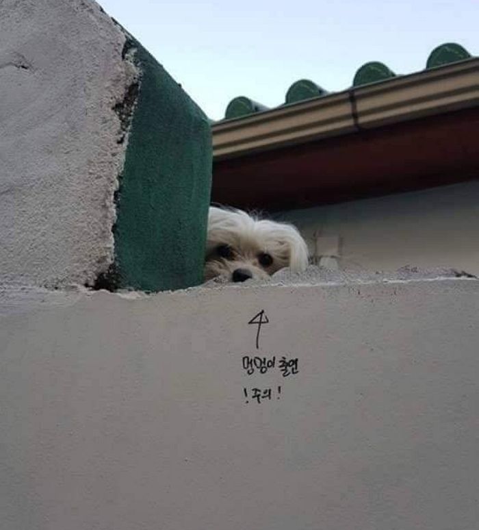 MsMZtm
