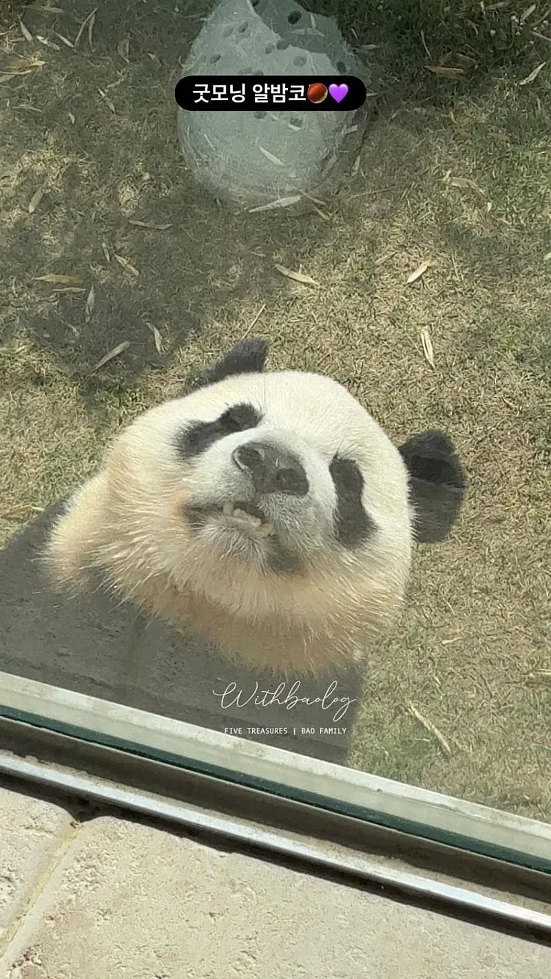 MtTZMU