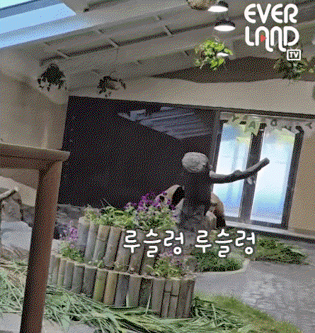 MvetNf.gif