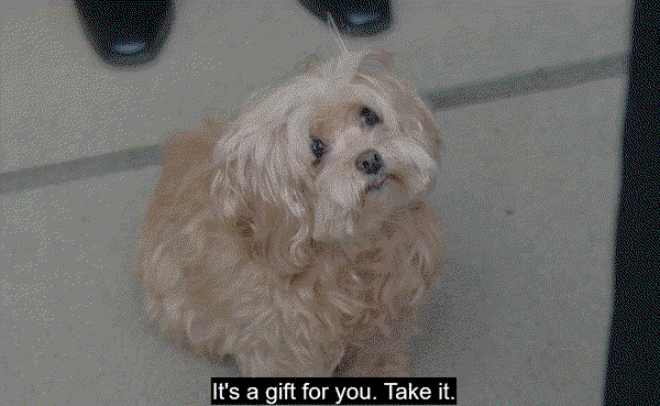 MxnpMN.gif