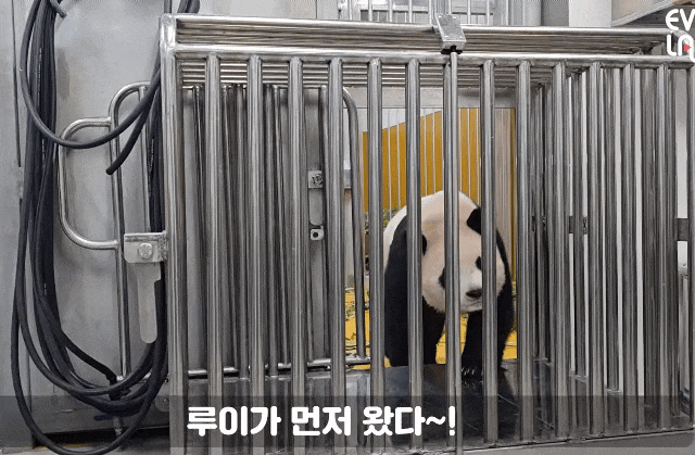 MyPRfx.gif
