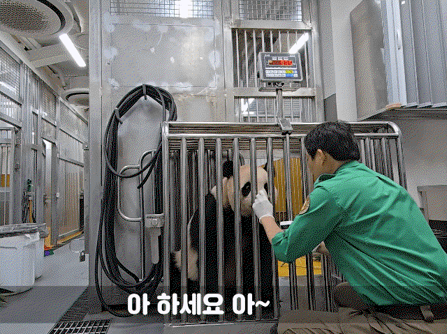 NAJmgT.gif