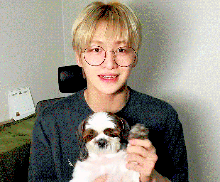 NCFkjF.gif