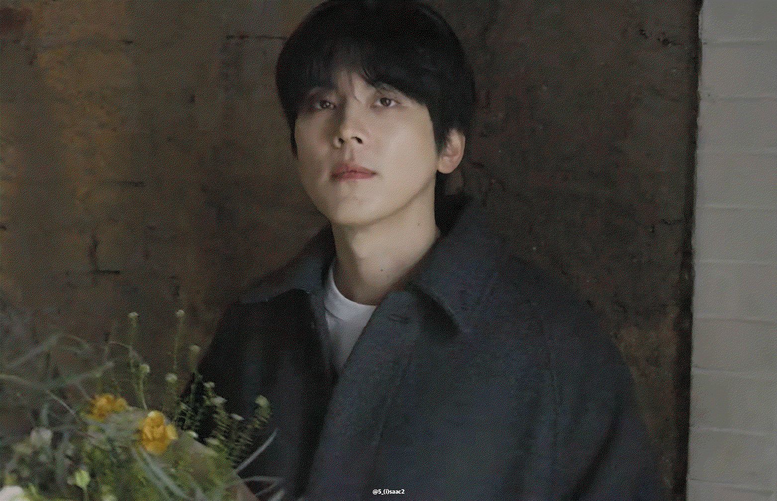 NCOBCw.gif
