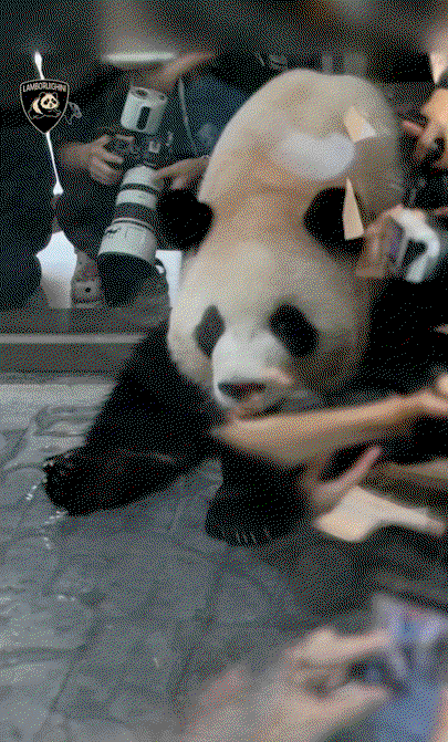 NCPmBU.gif