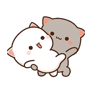 NCRTrz