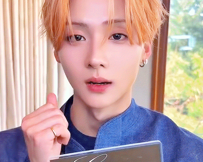 NDdWhO.gif