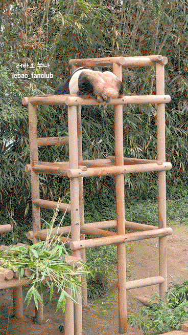 NDgQLa.gif