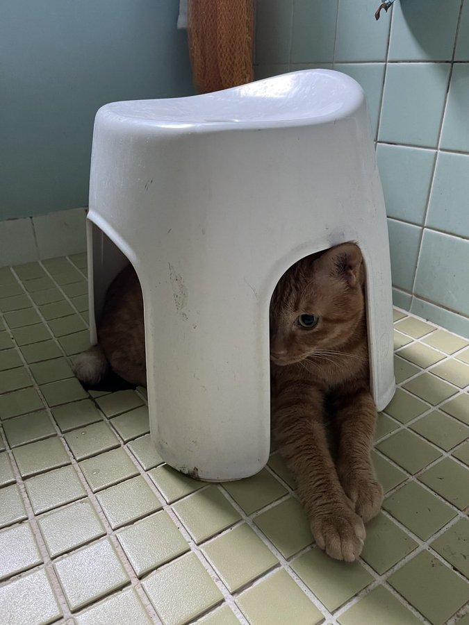 NFNdKO