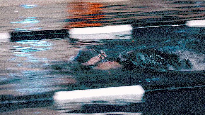 NFTXEj.gif