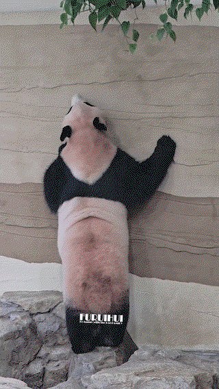 NFwUQw.gif
