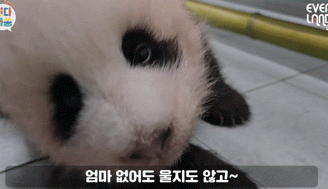 NGZYiR.gif