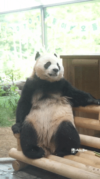 NGeHch.gif