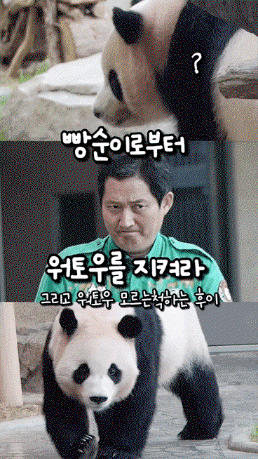 NIwMWB.gif