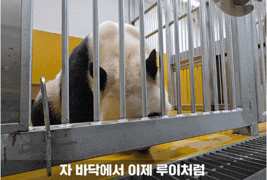 NKcYIo.gif