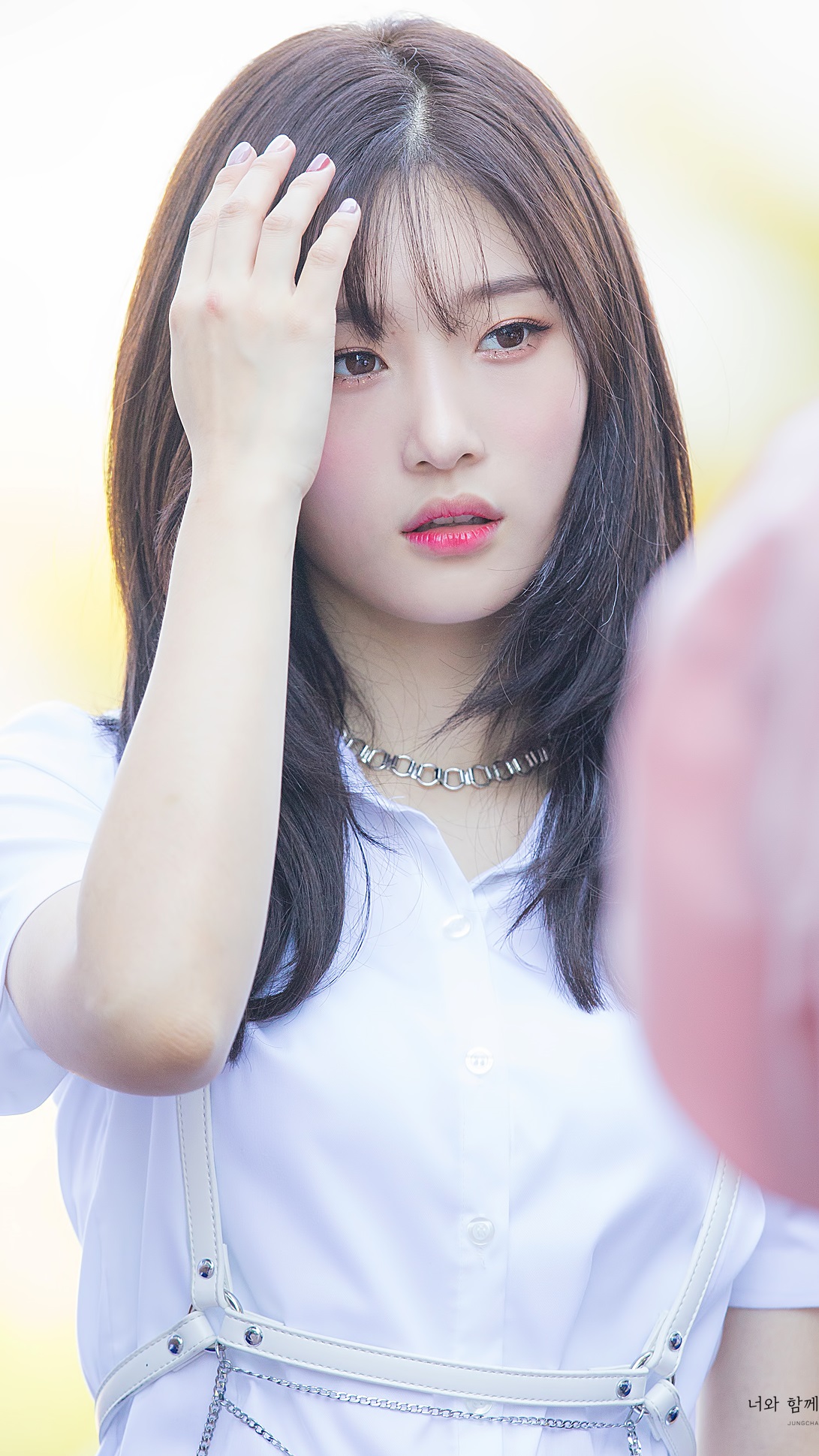 NLIRDV