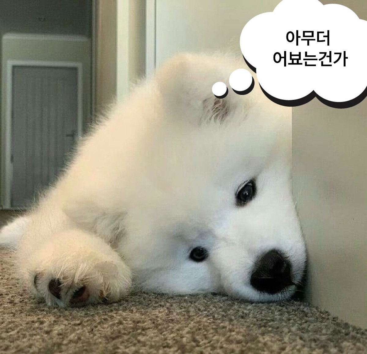 NLMWHL