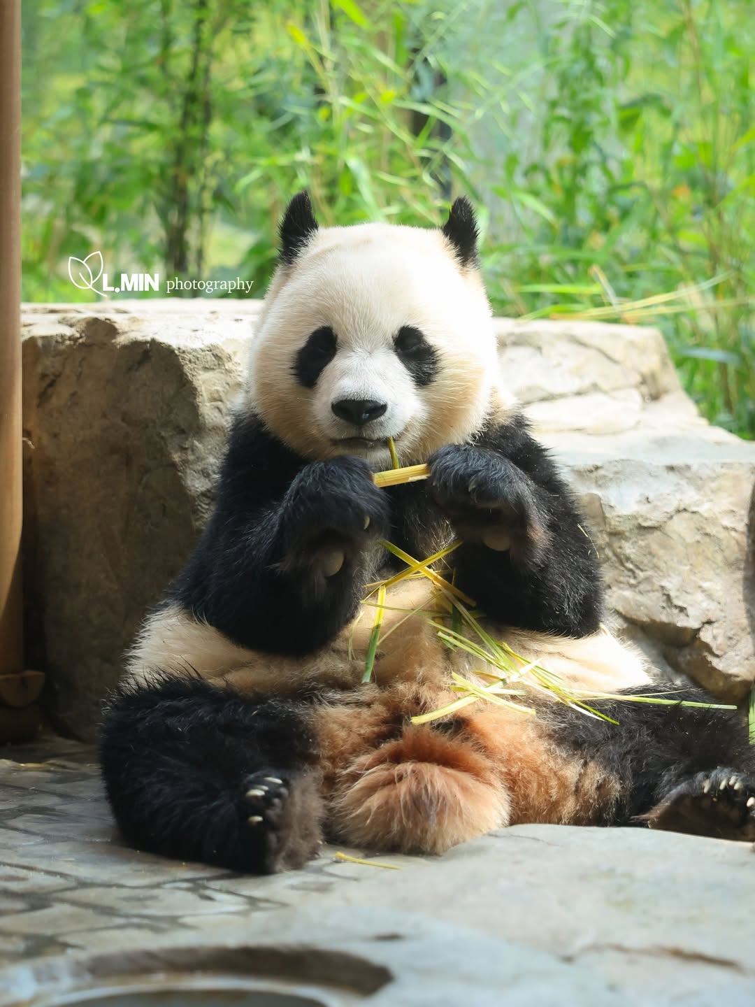 NXTutQ