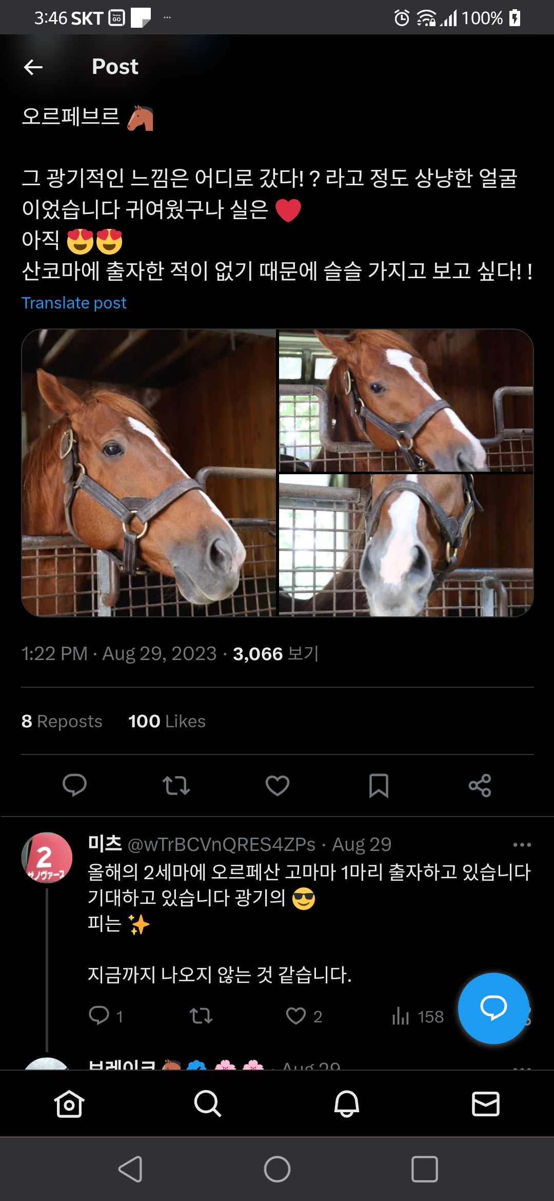NZDfWP