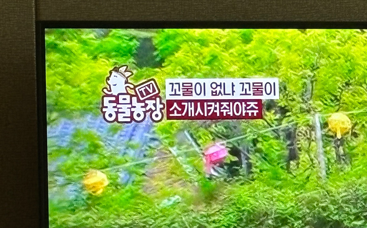 NZTnTY