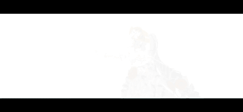 NaQjXO.gif