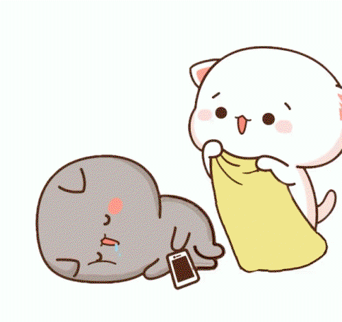 NaZnFr.gif