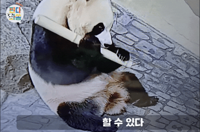 NfnoEe.gif