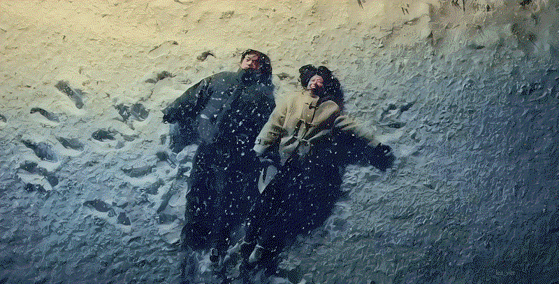 NhVQaV.gif