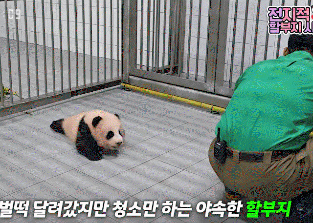 NhaEjR.gif