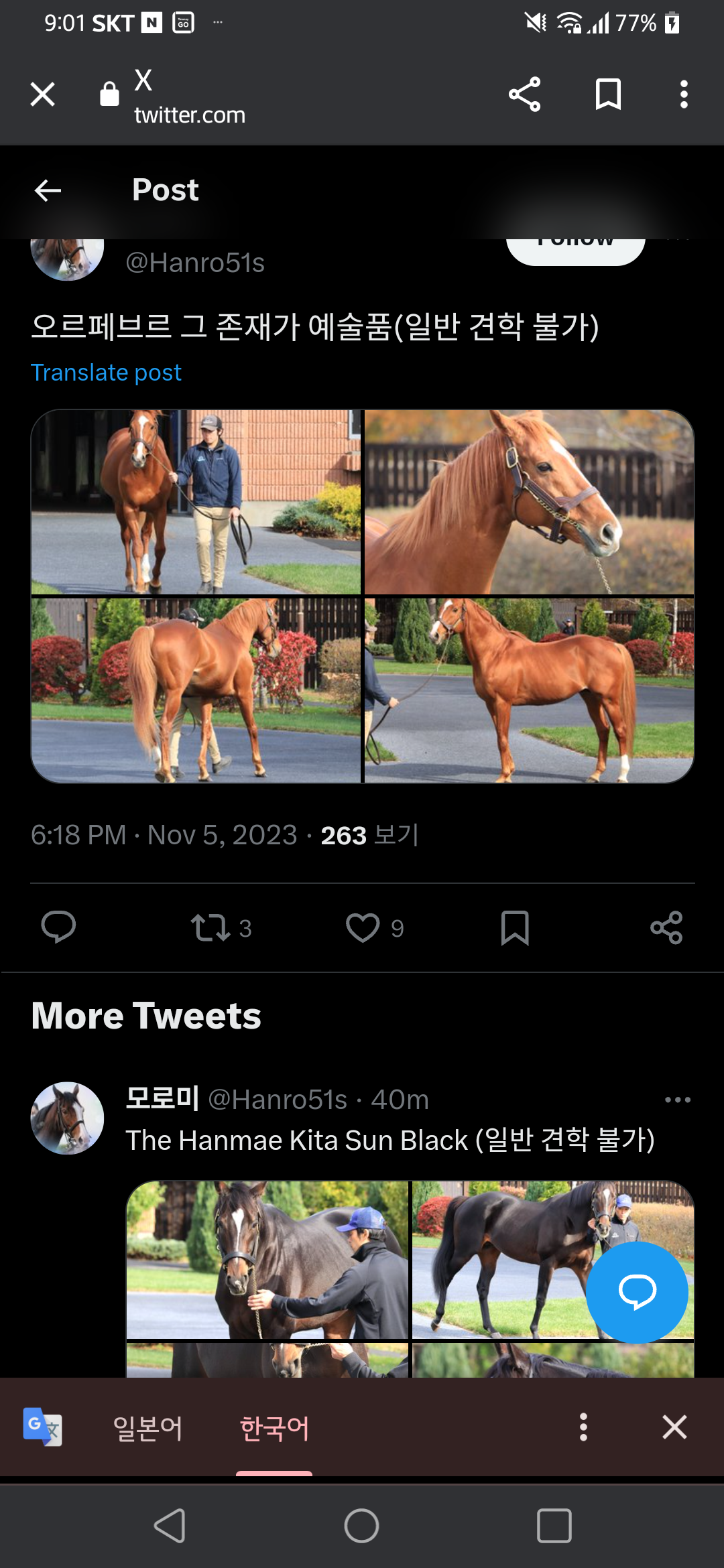 더쿠 - 어디나 팬심이란 건 똑같다(경주마)
