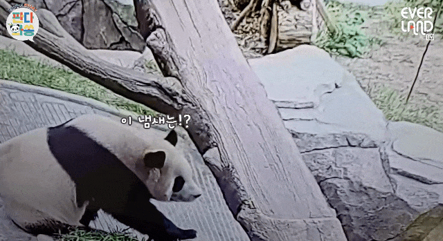 NiWvxZ.gif