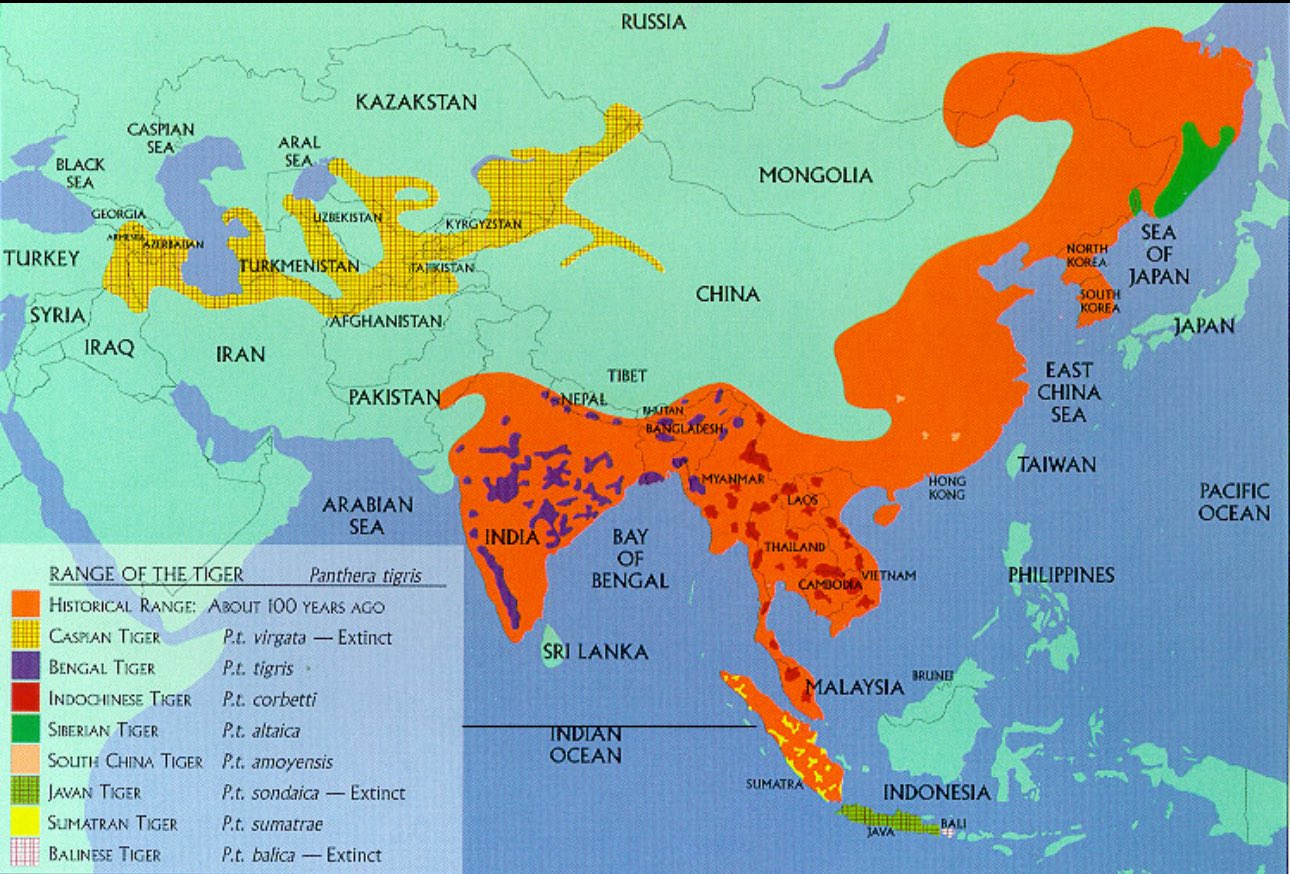 NikhmK
