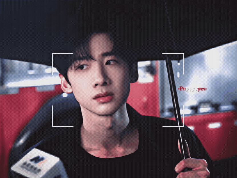 NjXvmS.gif