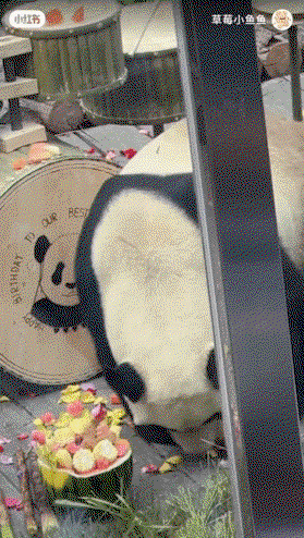 NjpcER.gif