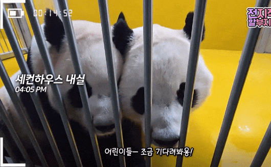 NkCocE.gif